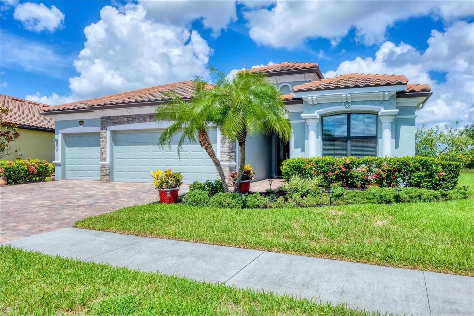 The house with its lawn and palm